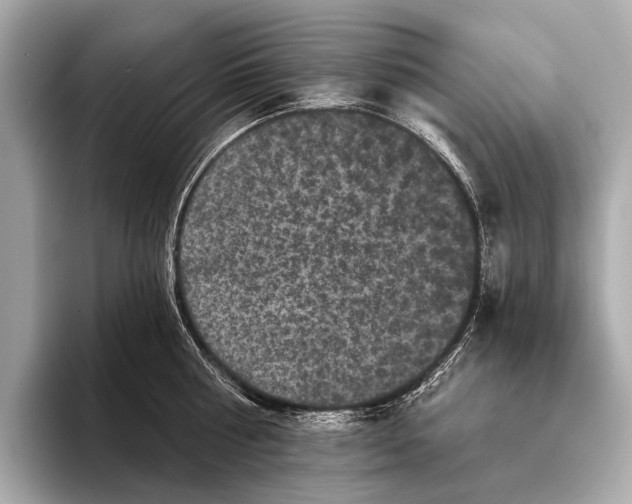 X0000093480810200711020932