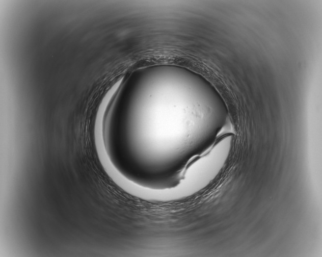 X0000093480818200711020931