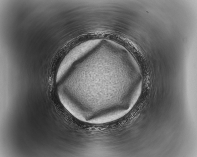 X0000093480821200711020931