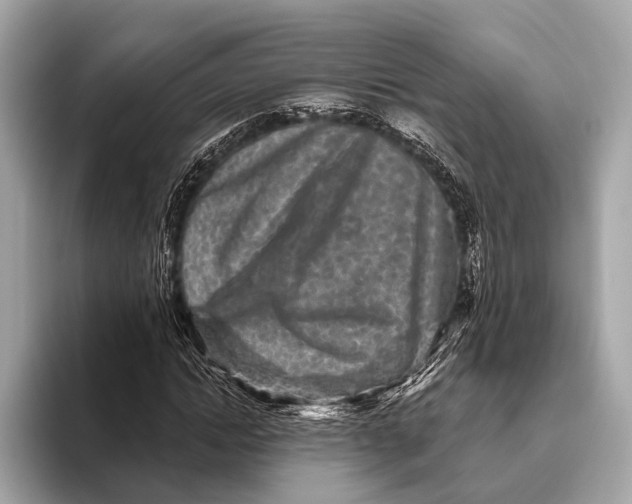 X0000093480822200711020931