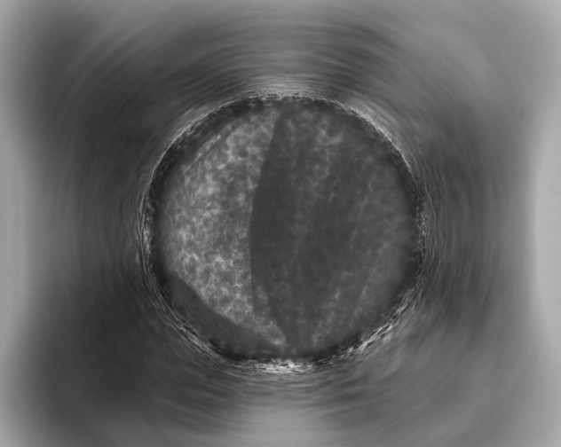 X0000093480823200711020931