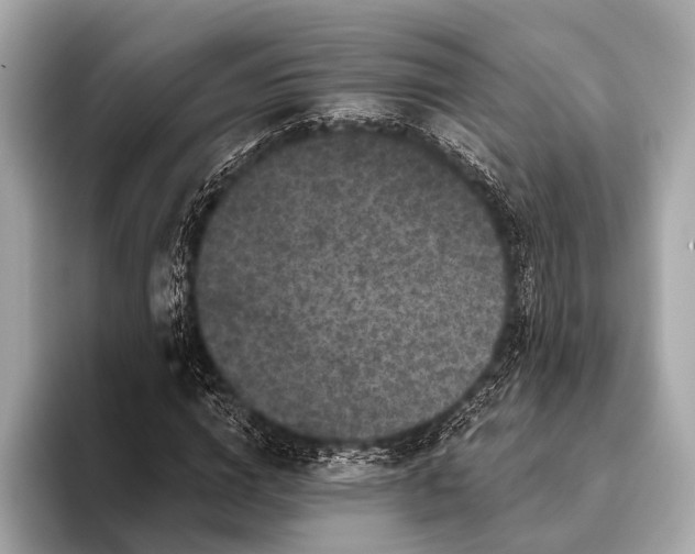 X0000093480824200711020931