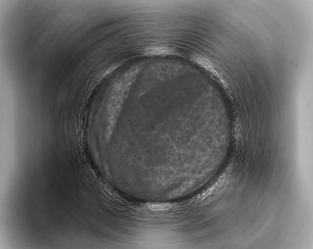 X0000093480825200711020931