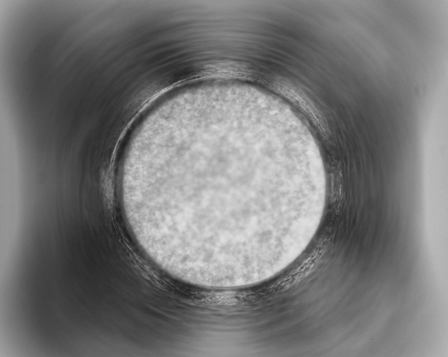 X0000093480828200711020931