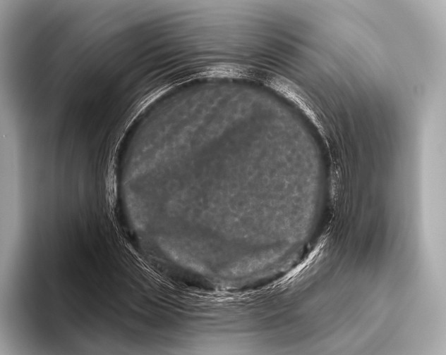X0000093480829200711020931
