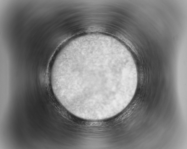 X0000093480832200711020932