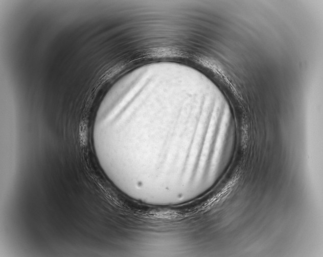 X0000093480833200711020932