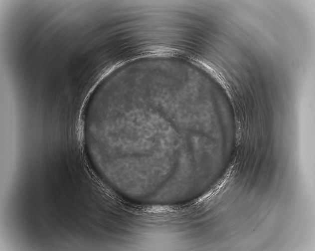 X0000093480835200711020932