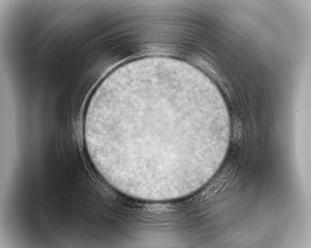 X0000093480836200711020932