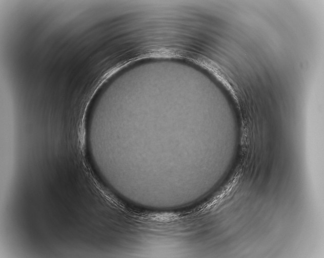 X0000093480837200711020932