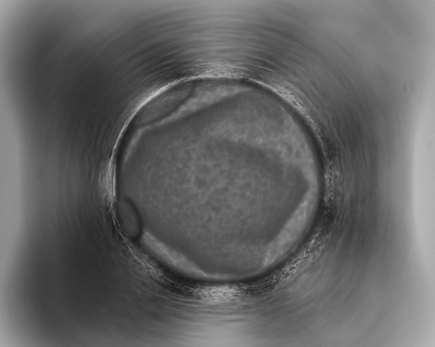 X0000093480838200711020932