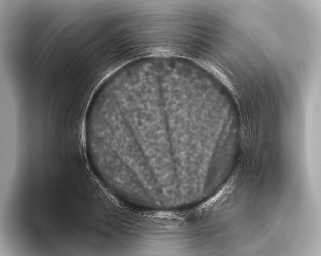 X0000093480839200711020932