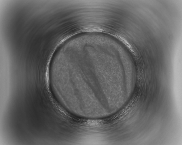 X0000093480840200711020932