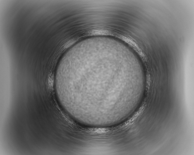 X0000093480841200711020932