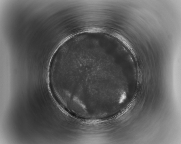 X0000093480853200711020932