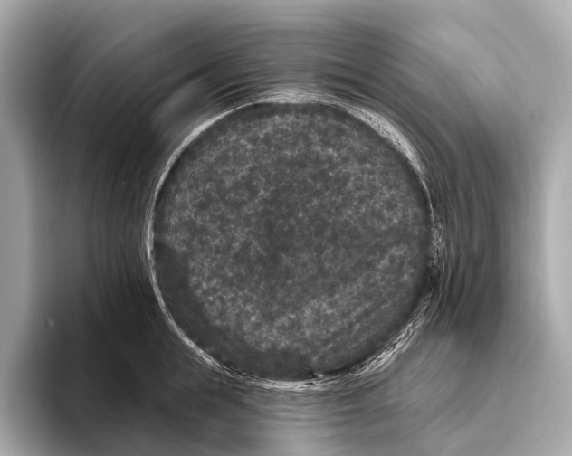 X0000093480855200711020932
