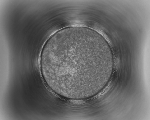 X0000093480856200711020932
