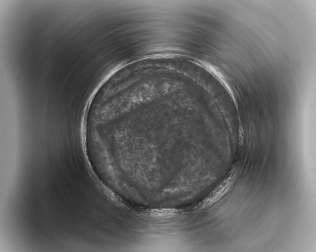 X0000093480859200711020932