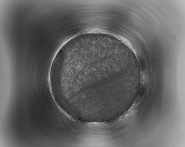 X0000093480863200711020932