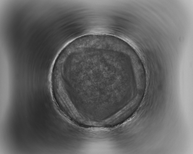 X0000093480864200711020932