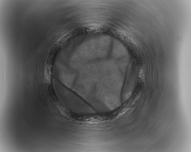 X0000093480868200711020931