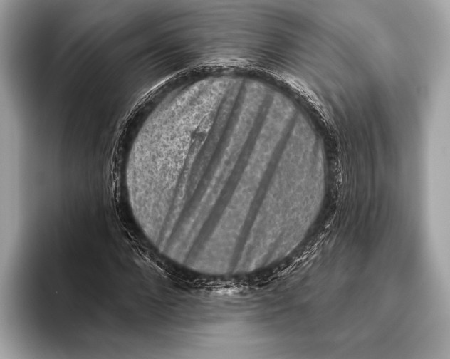 X0000093480872200711020931