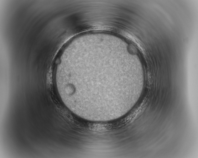 X0000093480875200711020931