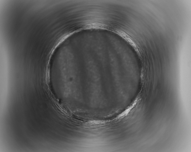 X0000093480877200711020931
