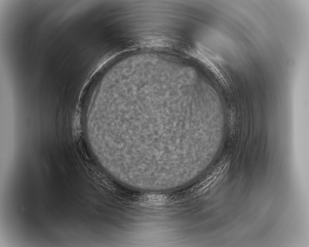 X0000093480878200711020931