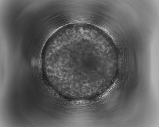 X0000093480879200711020931