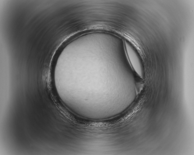 X0000093480880200711020931