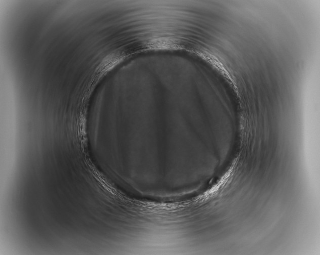 X0000093480881200711020931
