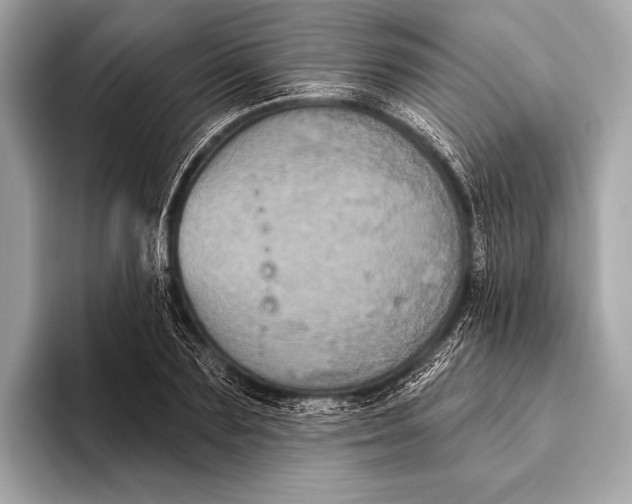 X0000093480883200711020931
