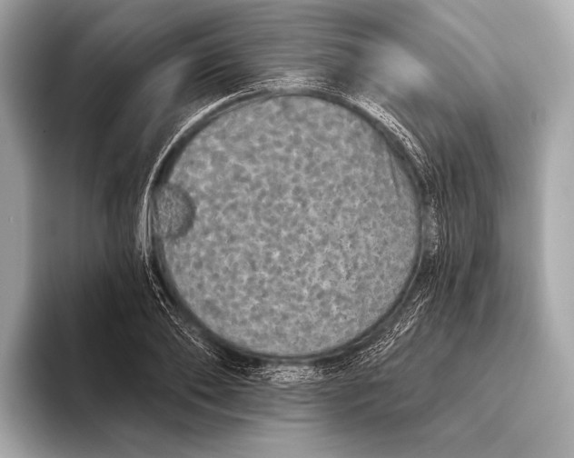 X0000093480886200711020931