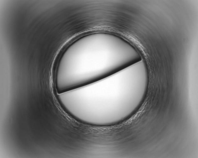 X0000093480888200711020931