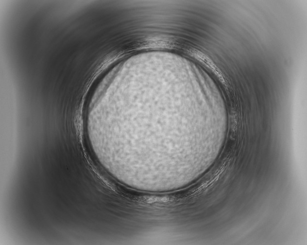X0000093480890200711020931