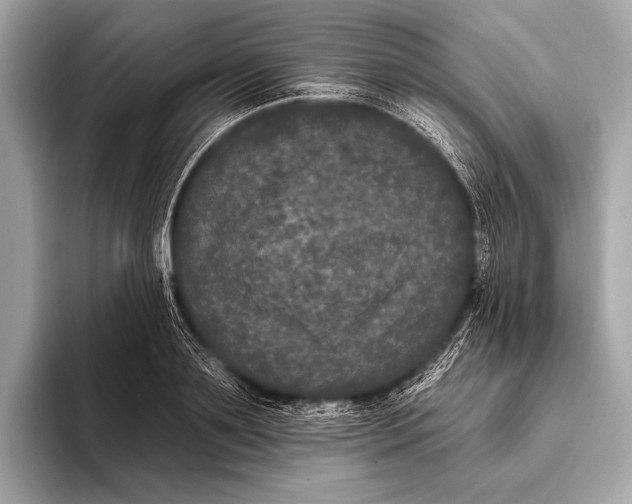 X0000093480891200711020931