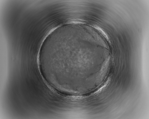 X0000093480893200711020931