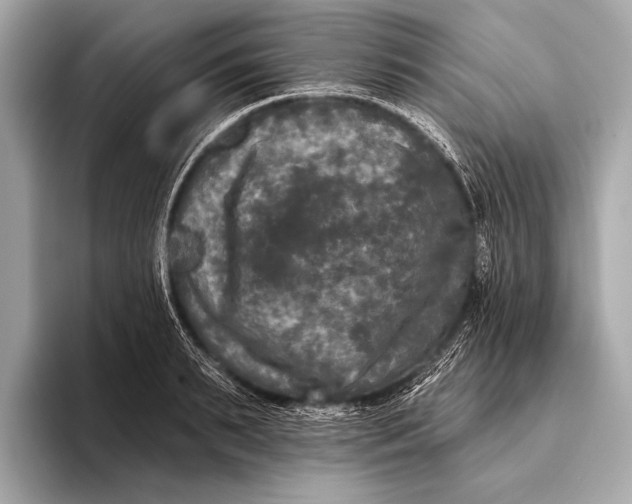 X0000093480895200711020931
