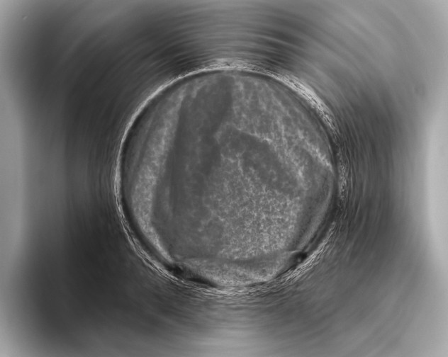 X0000093480896200711020931