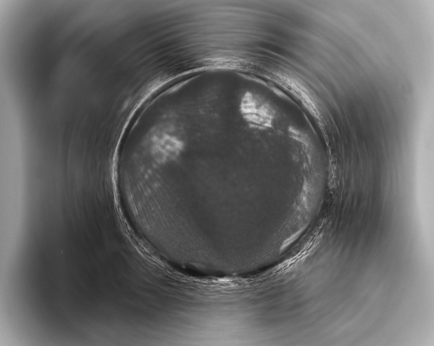 X0000093480899200711020931