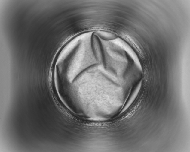 X0000093480900200711020931