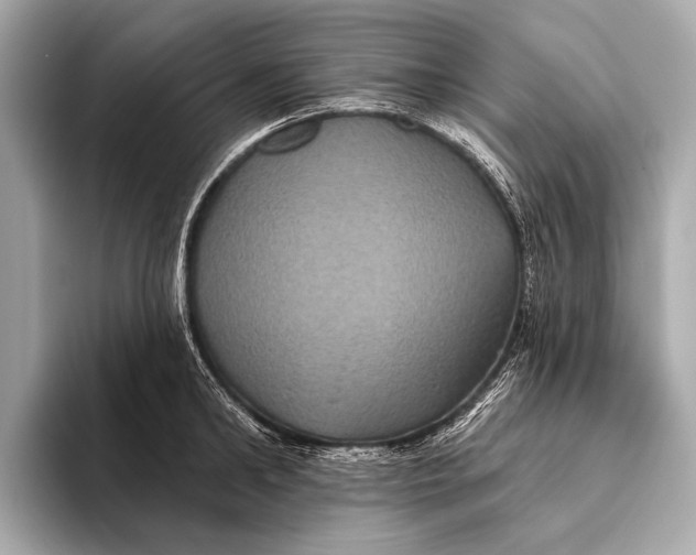 X0000093480902200711020931