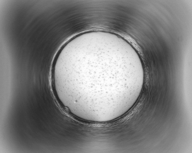 X0000093480904200711020931