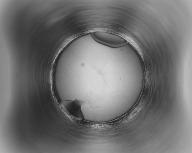 X0000093480906200711020931
