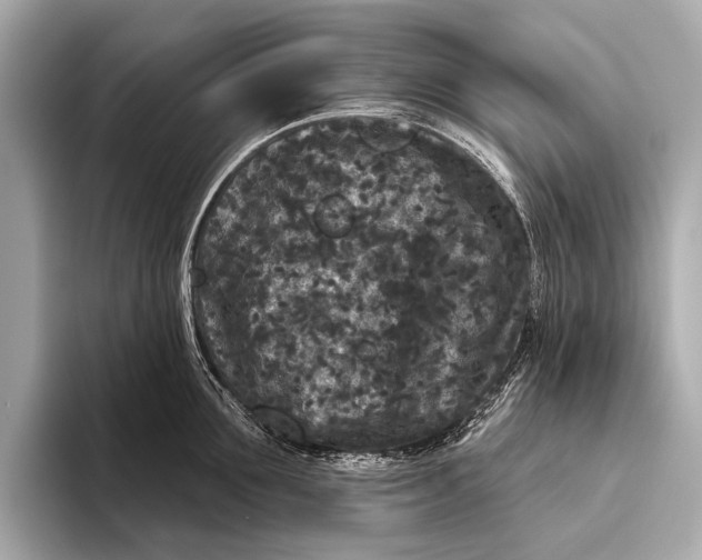 X0000093480907200711020931