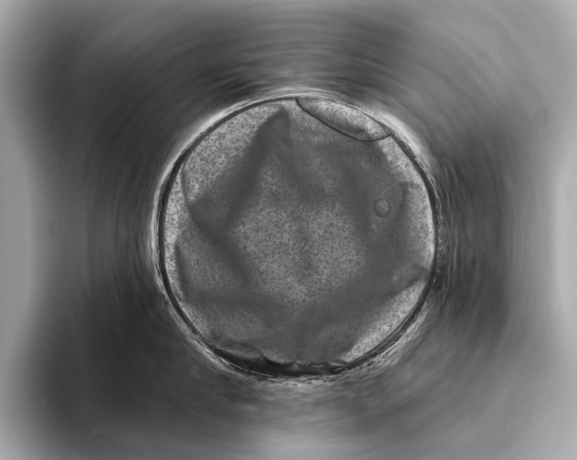 X0000093480910200711020931