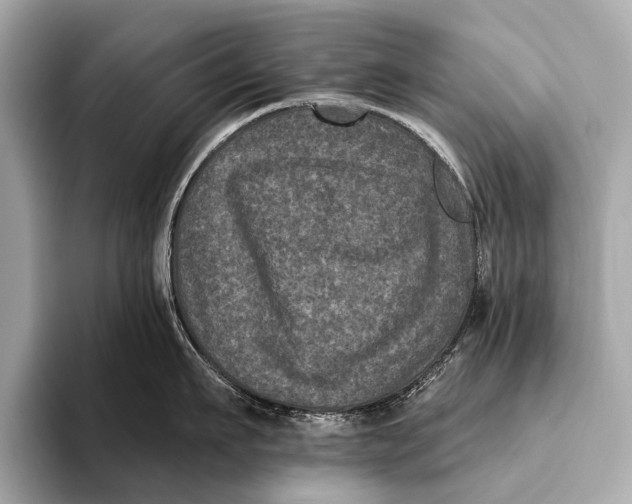 X0000093480911200711020931
