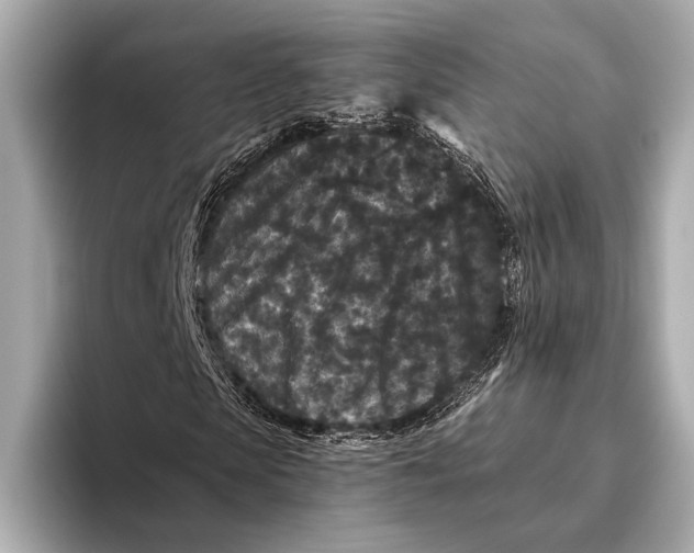 X0000093480913200711020930