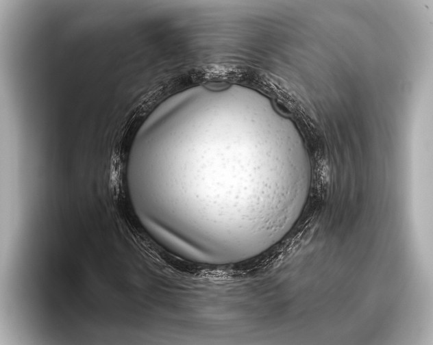 X0000093480914200711020930